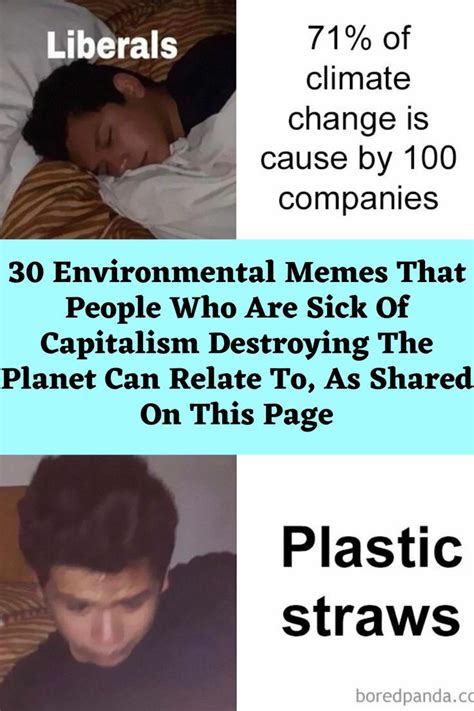 30 Environmental Memes That People Who Are Sick Of Capitalism.